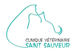 clinique vétérinaire Dijon